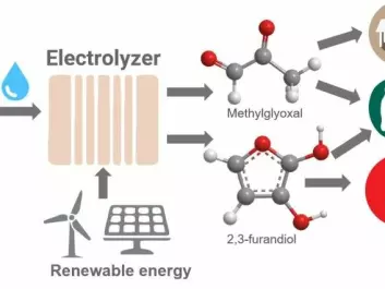 The illustration shows how emissions and water can be converted via electrolysis powered by renewable energy to become useful products. The made 2,3-furanediol and methylglyoxal. (Illustration: Karin Calvinho / Rutgers University-New Brunswick).