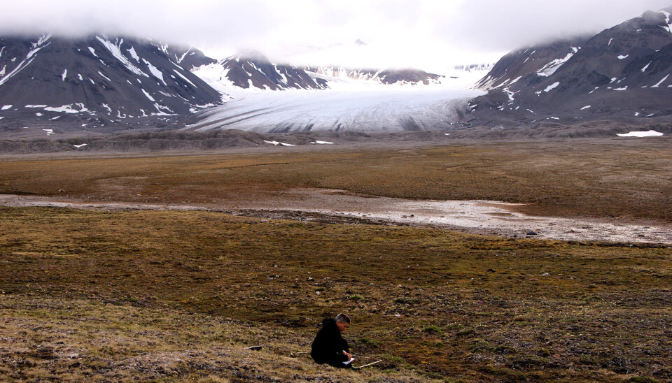 'Warmer winters on Svalbard are not tantamount to a greener landscape', says researcher by Jarle W. Bjerke. The image shows Bjerke doing fieldwork on Svalbard. (Photo: Trond Pedersen)