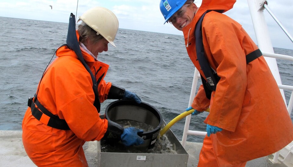 Along the Norwegian coast to the Skagerrak, researchers from NIVA investigated the fauna at the soft bottom and measured environmental variables like temperature, salinity and nutrients for 20 years. They revealed that climate related factors and changes in nutrient levels affected the species composition the most.
