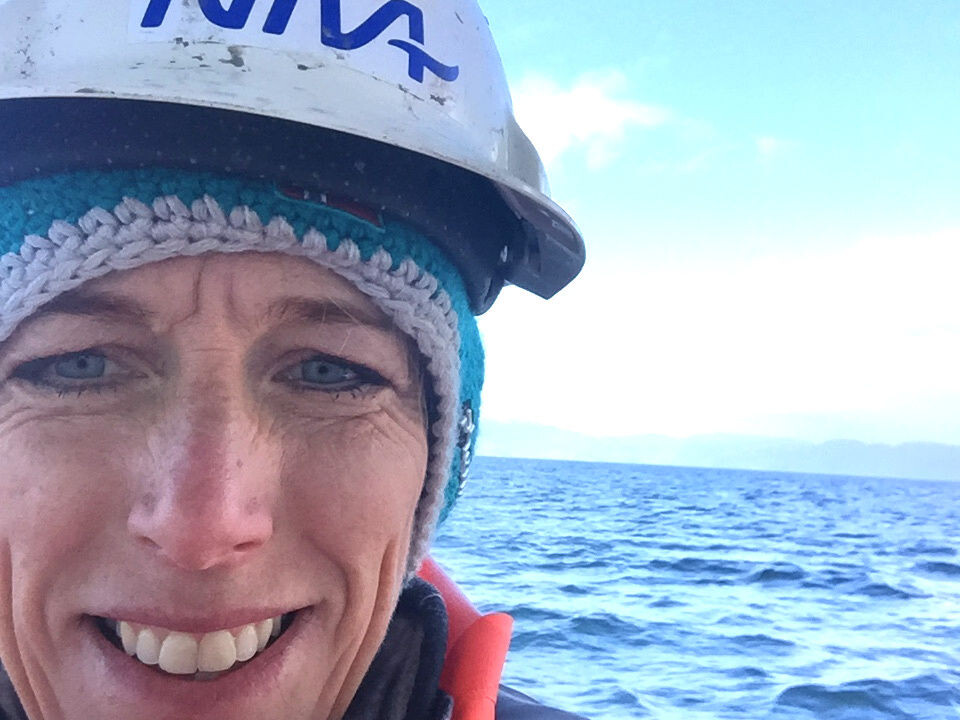 'There has been an improvement for the soft bottom fauna in Skagerrak,' says marine biologist Hilde Cecilie Trannum.