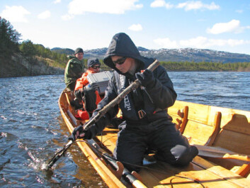 Scientists can listen to signals from salmon wearing transmitters. From front to back: Elina Halttunen, Jan Davidsen and Amund Suhr. (Photo: Audun Rikardsen) Scientists can listen to signals from salmon wearing transmitters. From front to back: Elina Halttunen, Jan Davidsen and Amund Suhr. (Photo: Audun Rikardsen)