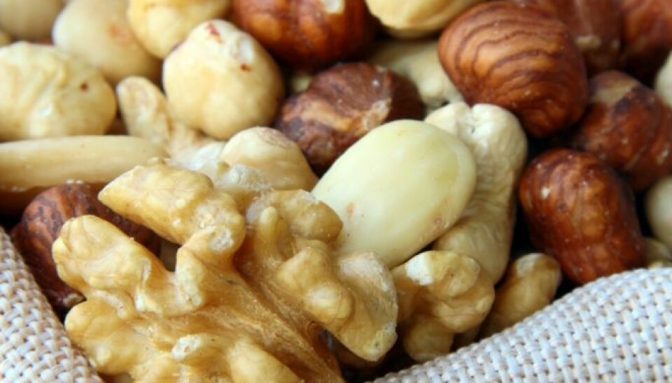 For adults, most food allergy reactions are associated with nuts, hazelnuts in particular, and peanuts. (Photo: Colourbox)