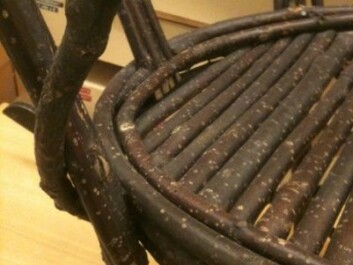 Although this is obviously a home-made job, the chair is still very well constructed. (Photo: Hanne Jakobsen) Although this is obviously a home-made job, the chair is still very well constructed. (Photo: Hanne Jakobsen)