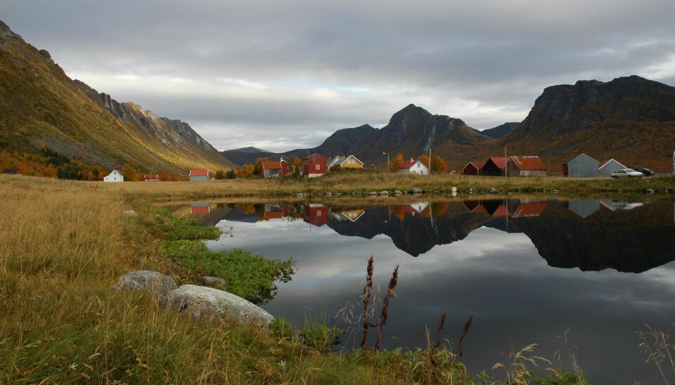 Farm mounds in Grunnfarnes in Troms county. Investigation of the mounds will not hinder the lives of the residents. (Photo: Troms municipality/Harald G.Johnsen)