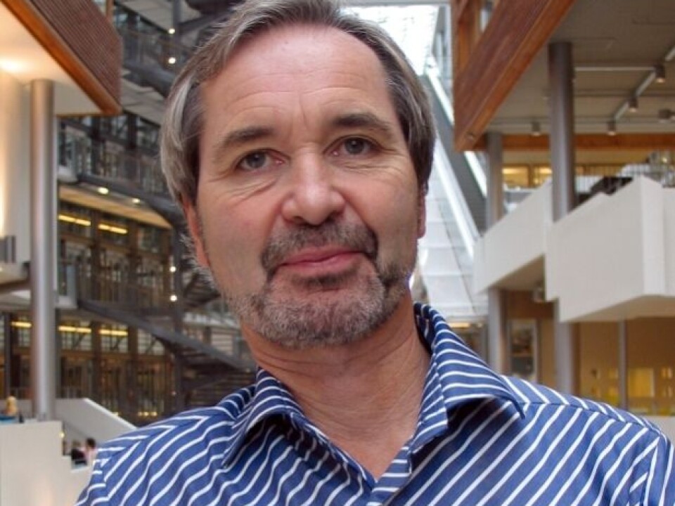 Professor Morten Huse is management researcher at BI Norwegian Business School. (Photo: BI)