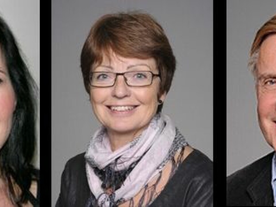 Three dental experts and professors at the University of Oslo. From left: Janne Reseland, Anne Bjørg Tveit and Morten Rykke (Photo: University of Oslo)