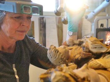 Mille Stein, a painting restorer and researcher at NIKU, restoring the Holdhus Madonna. (Photo: Arnfinn Christensen) Mille Stein, a painting restorer and researcher at NIKU, restoring the Holdhus Madonna. (Photo: Arnfinn Christensen)