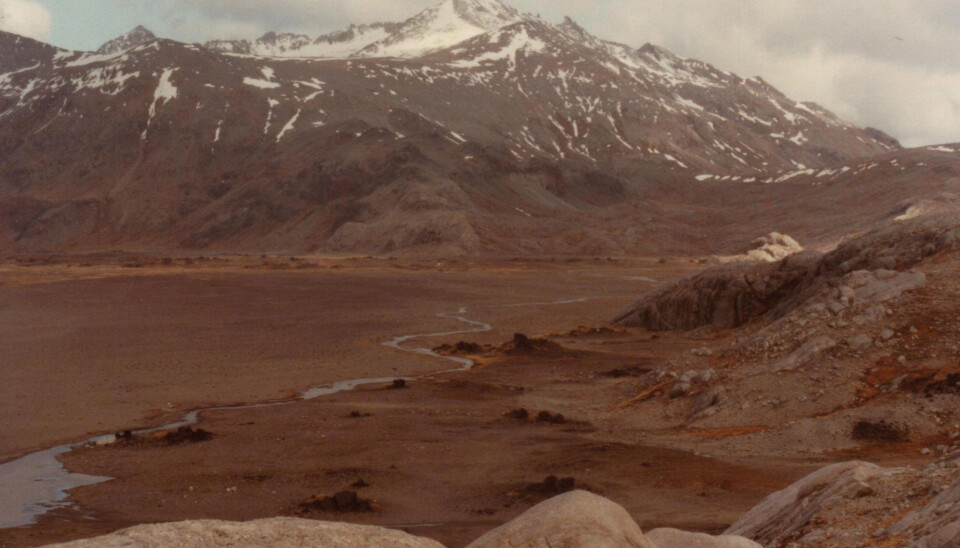 One of the Kerguelen Islands, where Norwegian whalers released reindeer. (Photo: Wikimedia Commons)