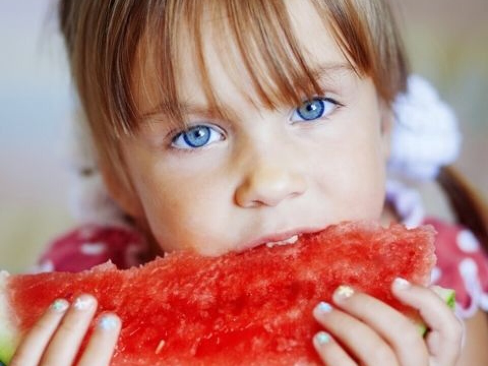 Healthy food should be available at all times (Photo: Colourbox)