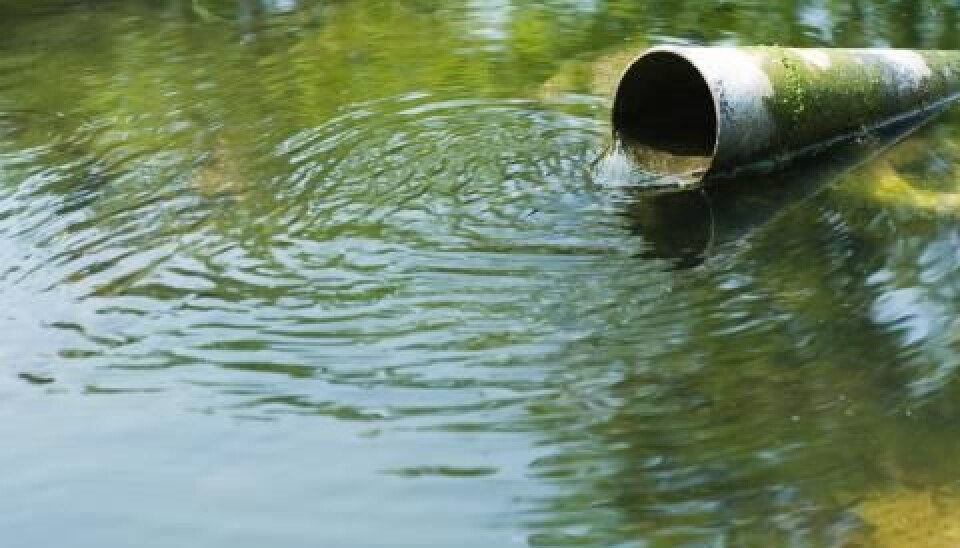 Some effluents eventually find their way into ocean waters. (Photo: Colourbox)