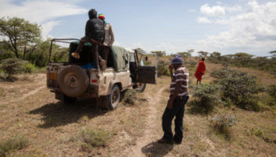 The African wild dog project crew out on the job. (Photo: Per Harald Olsen, NTNU)