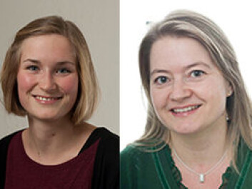 The Researchers at the University of Oslo, from the left: Evandro Fei Fang, Sofie H. Lautrup, Hilde Loge Nilsen and Tormod Fladby. (Photo: UiO) The Researchers at the University of Oslo, from the left: Evandro Fei Fang, Sofie H. Lautrup, Hilde Loge Nilsen and Tormod Fladby. (Photo: UiO)