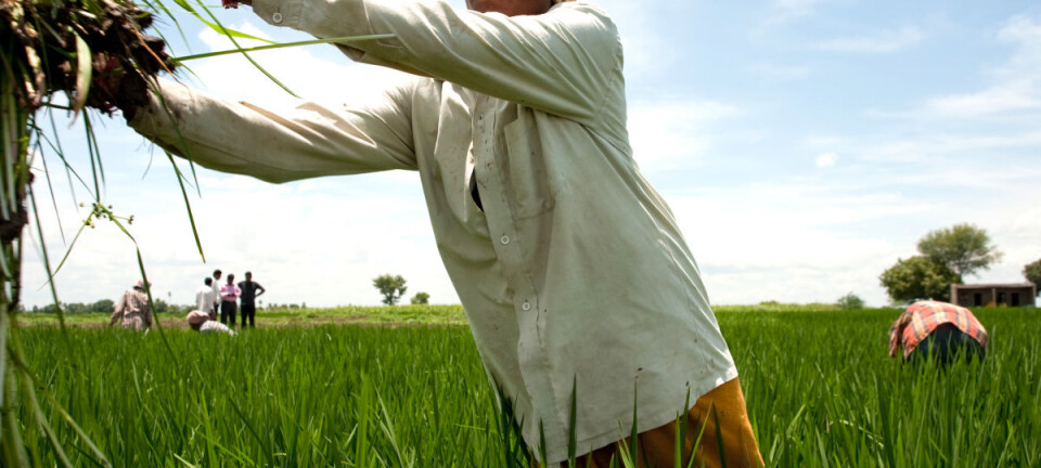 International Women’s Day: Closing the gender gap among smallholders