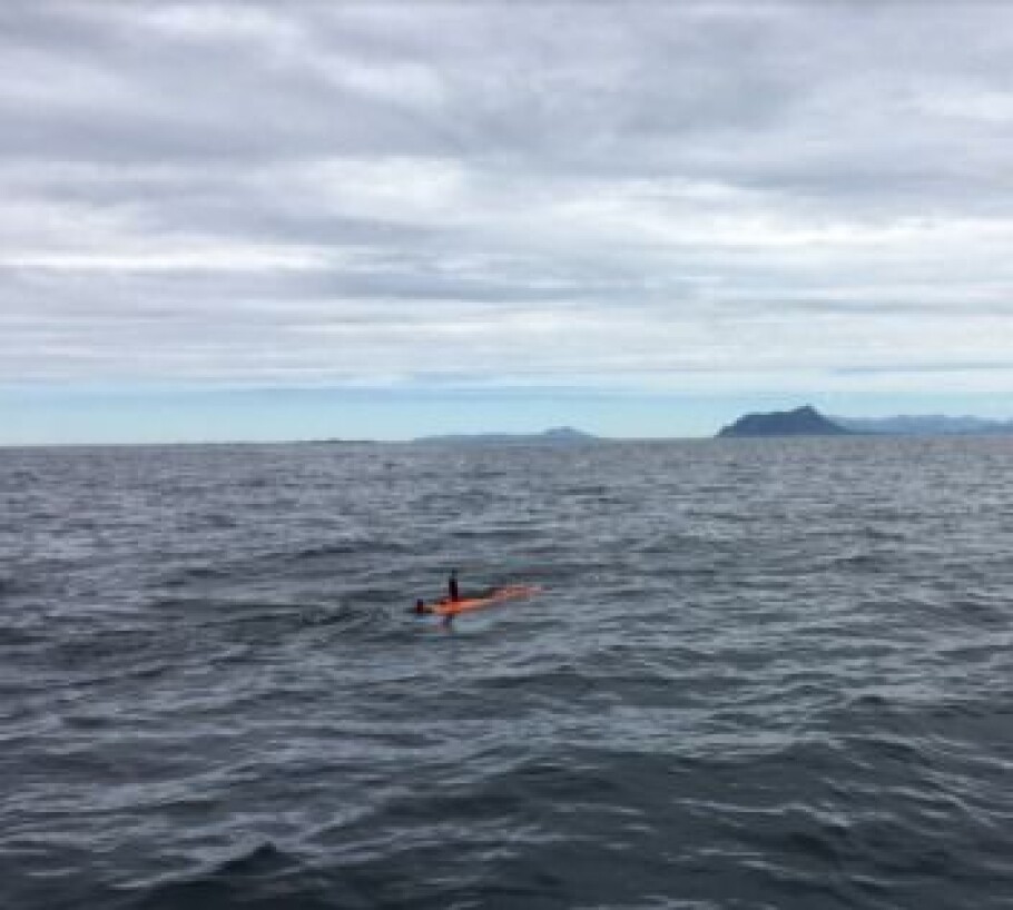 The smart autonomous underwater vehicle on its hunt for phytoplankton patches. (Photo: Trygve Fossum, NTNU)