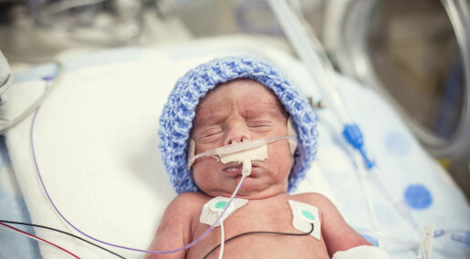 Preemies given extra nutrition grew faster but got more infections
