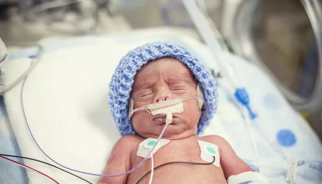 Preemies given extra nutrition grew faster but got more infections