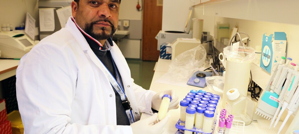Tick-borne encephalitis-virus found in unpasteurized cow milk in Norway