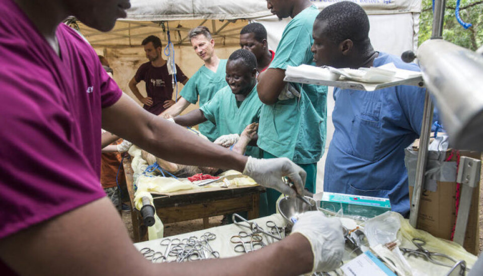 Students go through a number of training modules, including learning to do anaesthesia on pigs. (Photo: Magnus Endal, CapaCare)