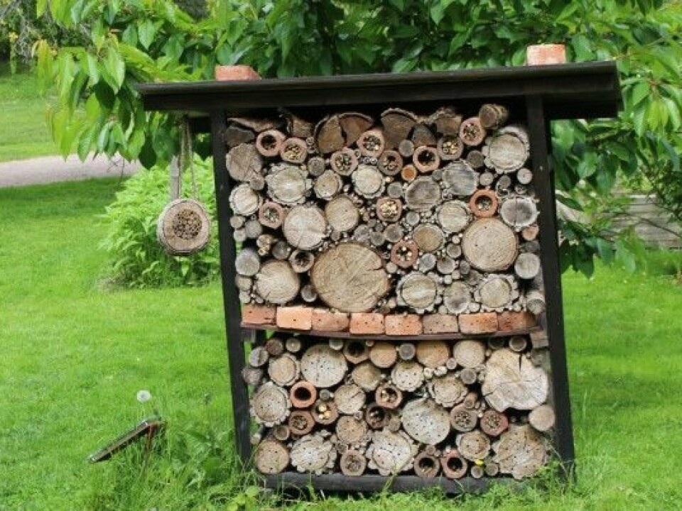 An insect hotel at the University of Oslo’s Botanical Garden. The university’s Natural History Museum has plans to set up a number of insect hotels to study their usefulness. (Photo: Dag Inge Danielsen)