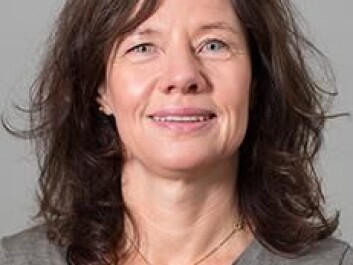 Bente Lømo has written a PhD thesis on therapy for men who use violence against their partner. (Photo: NKVTS/Ingar Sørensen) Bente Lømo has written a PhD thesis on therapy for men who use violence against their partner. (Photo: NKVTS/Ingar Sørensen)