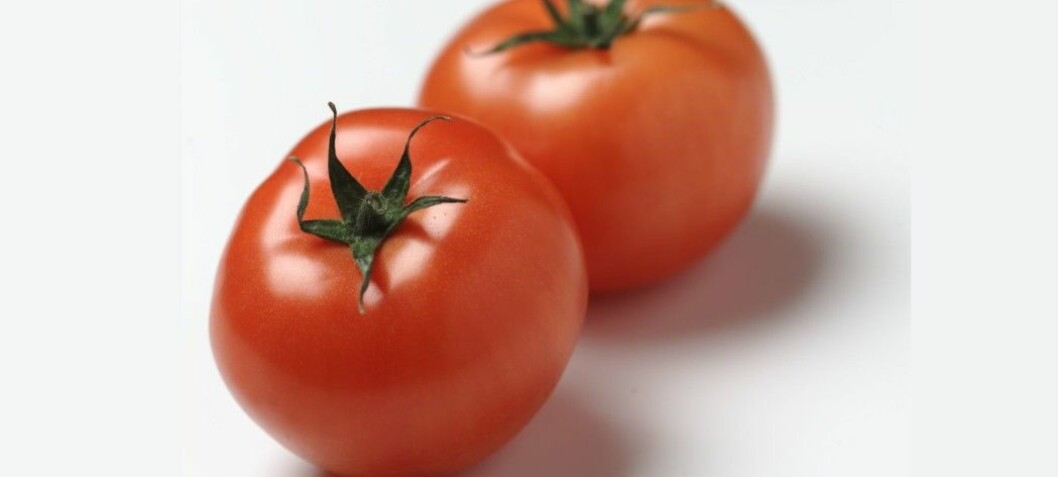 Tomatoes used to taste bad. Not anymore.