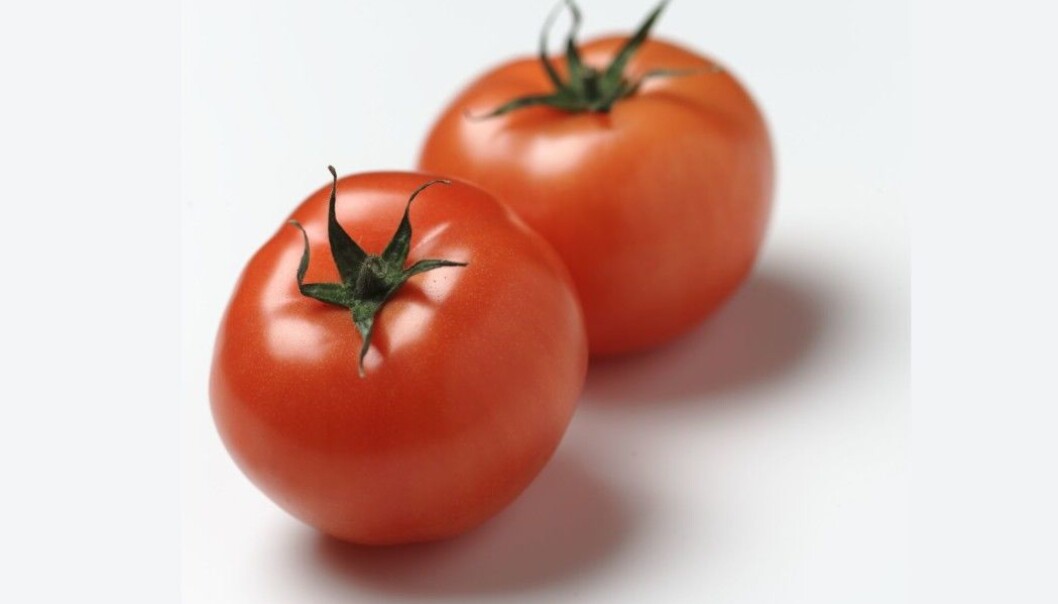 Not many people would have bought these red beauties 25 years ago. (Photo: Synøve Dreyer, Opplysningskontoret for frukt og grønt, Creative Commons) Not many people would have bought these red beauties 25 years ago. (Photo: Synøve Dreyer, Opplysningskontoret for frukt og grønt, Creative Commons)