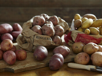 If you look at the potato selection the next time you are in the grocery store, you will quickly see that the potato is no longer just a potato. Both colours and text on the bags are used to communicate to you as a consumer that there are different potatoes and different potato flavours. (Photo: Synøve Dreyer, Opplysningskontoret for frukt og
grønt, Creative Commons) If you look at the potato selection the next time you are in the grocery store, you will quickly see that the potato is no longer just a potato. Both colours and text on the bags are used to communicate to you as a consumer that there are different potatoes and different potato flavours. (Photo: Synøve Dreyer, Opplysningskontoret for frukt og
grønt, Creative Commons)