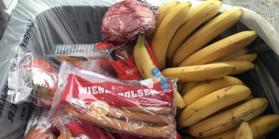 A lot of perfectly good food gets tossed in the trash. A digital solution could help reduce food waste. (Photo: Idun Haugan)