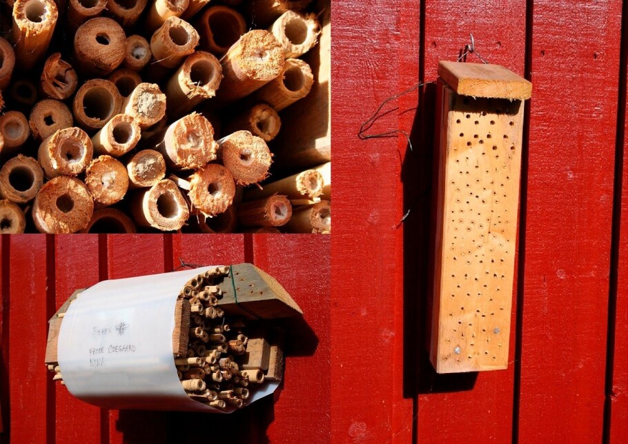 Bee hotels can be constructed many different ways. (All photos: Frode Ødegaard, NTNU)
