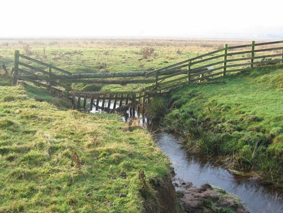 Researchers from NIVA have studied how much of the land-derived organic matter are being transformed to CO2 by bacteria in two streams in Northeast Scotland, including here in Cairn Burn. (Photo: Richard Webb / Cairn Burn)