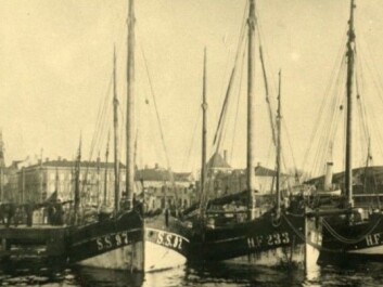 German fishing boats located in Strømstad harbour in 1922, heavily loaded with spirits to be smuggled into Norway. The port was the main base for Norwegian-Swedish alcohol smugglers. Swedish law did not specifically prohibit the trade. Goods were loaded onto fast Norwegian smuggling vessels. The business was so extensive that Strømstad's port charges more than doubled during the period. The Grand Hotel in the city was a meeting place for Norwegian "alcohol barons" and foreign sellers and was colloquially known as the “Spirits Hotel”. (Photo: Gunnar Thorén, Strømstad Museum) German fishing boats located in Strømstad harbour in 1922, heavily loaded with spirits to be smuggled into Norway. The port was the main base for Norwegian-Swedish alcohol smugglers. Swedish law did not specifically prohibit the trade. Goods were loaded onto fast Norwegian smuggling vessels. The business was so extensive that Strømstad's port charges more than doubled during the period. The Grand Hotel in the city was a meeting place for Norwegian "alcohol barons" and foreign sellers and was colloquially known as the “Spirits Hotel”. (Photo: Gunnar Thorén, Strømstad Museum)