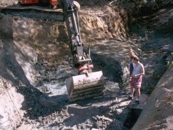 Excavations of an archaeological site from the 1990s. Technology has only recently become good enough for these pieces of pitch to be analysed. (Photo: Per Persson / Stockholm University)
Excavations of an archaeological site from the 1990s. Technology has only recently become good enough for these pieces of pitch to be analysed. (Photo: Per Persson / Stockholm University)