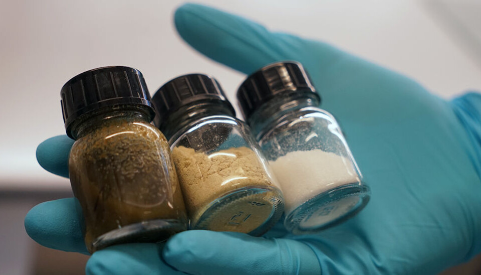 NTNU researchers are hoping that the jars’ contents hold the future for Norway’s green battery efforts. (Photo: Mona Sprenger)