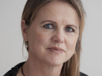 “We recognize that we clearly have areas to improve,” says asylum department director Hanne Jendal in the Directorate of Immigration. (Photo: UDI) “We recognize that we clearly have areas to improve,” says asylum department director Hanne Jendal in the Directorate of Immigration. (Photo: UDI)