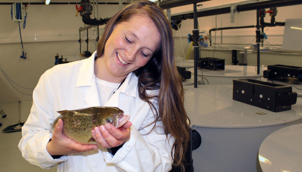 Hanne Dvergedal, shown here with a salmon in the fish lab at NMBU, has identified which salmon are most efficient in converting feed into meat using food that contains traceable isotopes. This could mean savings for the aquaculture industry over the long run. (Photo: G. E. Auestad / Foods of Norway) Hanne Dvergedal, shown here with a salmon in the fish lab at NMBU, has identified which salmon are most efficient in converting feed into meat using food that contains traceable isotopes. This could mean savings for the aquaculture industry over the long run. (Photo: G. E. Auestad / Foods of Norway)