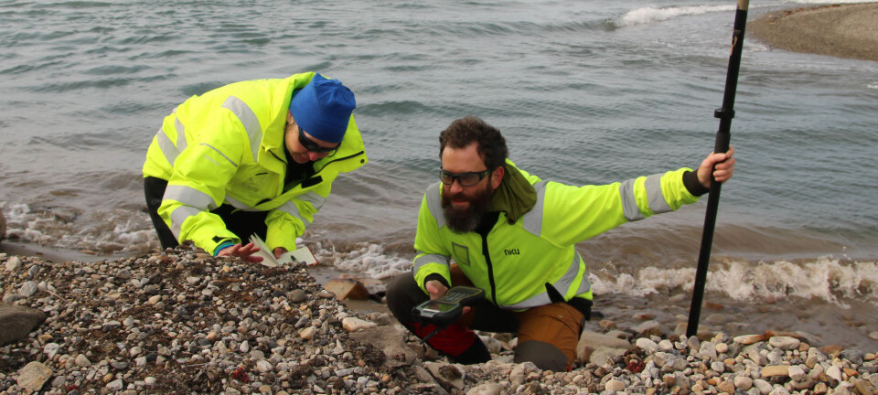 Scientists stumble upon an unknown grave in Svalbard
