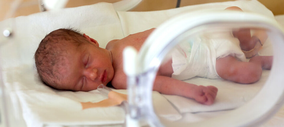 Parents of premature babies want more information