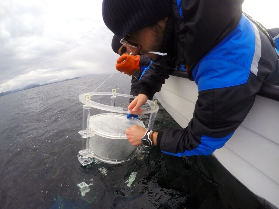 Alessandro Cresci and Cameron Thompson deploying drifting chambers in the fjords.