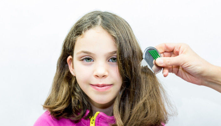 People with thick, medium-length hair appear to have a slightly higher risk of being infected with head lice. (Illustrative image: Per-Boge / Shutterstock / NTB scanpix) People with thick, medium-length hair appear to have a slightly higher risk of being infected with head lice. (Illustrative image: Per-Boge / Shutterstock / NTB scanpix)