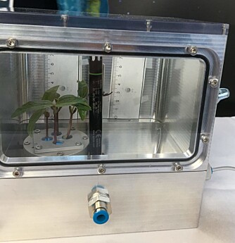 NTNU researchers from CIRiS, the Centre for Interdisciplinary Research in Space, have helped develop growth chambers, shown here, to test how astronauts might grow vegetables in space. Now they have a new assignment: to develop a growth chamber for a type of cell called an organoid for a project headed by another NTNU researcher, Tricia Larose. (Photo: Nancy Bazilchuk) NTNU researchers from CIRiS, the Centre for Interdisciplinary Research in Space, have helped develop growth chambers, shown here, to test how astronauts might grow vegetables in space. Now they have a new assignment: to develop a growth chamber for a type of cell called an organoid for a project headed by another NTNU researcher, Tricia Larose. (Photo: Nancy Bazilchuk)