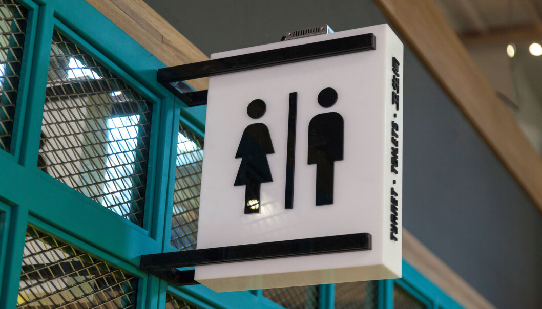 In Latin there is a clear biological basis for the grammatical gender system. The noun for a male animal would typically be masculine, a female animal would be feminine. "If we weren’t as influenced by history as we often tend to be, we would probably just call them noun class 1, 2 and 3, at least in Norwegian", says researcher Terje Lohndal. (Photo: Popovphoto / Shutterstock / NTB scanpix) In Latin there is a clear biological basis for the grammatical gender system. The noun for a male animal would typically be masculine, a female animal would be feminine. "If we weren’t as influenced by history as we often tend to be, we would probably just call them noun class 1, 2 and 3, at least in Norwegian", says researcher Terje Lohndal. (Photo: Popovphoto / Shutterstock / NTB scanpix)