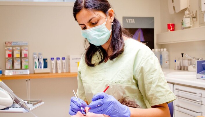 Preet Bano Singh, here photographed in action, published a study in 2018 showing that dentists can smell anxiety in their patients, and consequently gave these patients worse treatment. (Photo: Gry Monica Hellevik) Preet Bano Singh, here photographed in action, published a study in 2018 showing that dentists can smell anxiety in their patients, and consequently gave these patients worse treatment. (Photo: Gry Monica Hellevik)