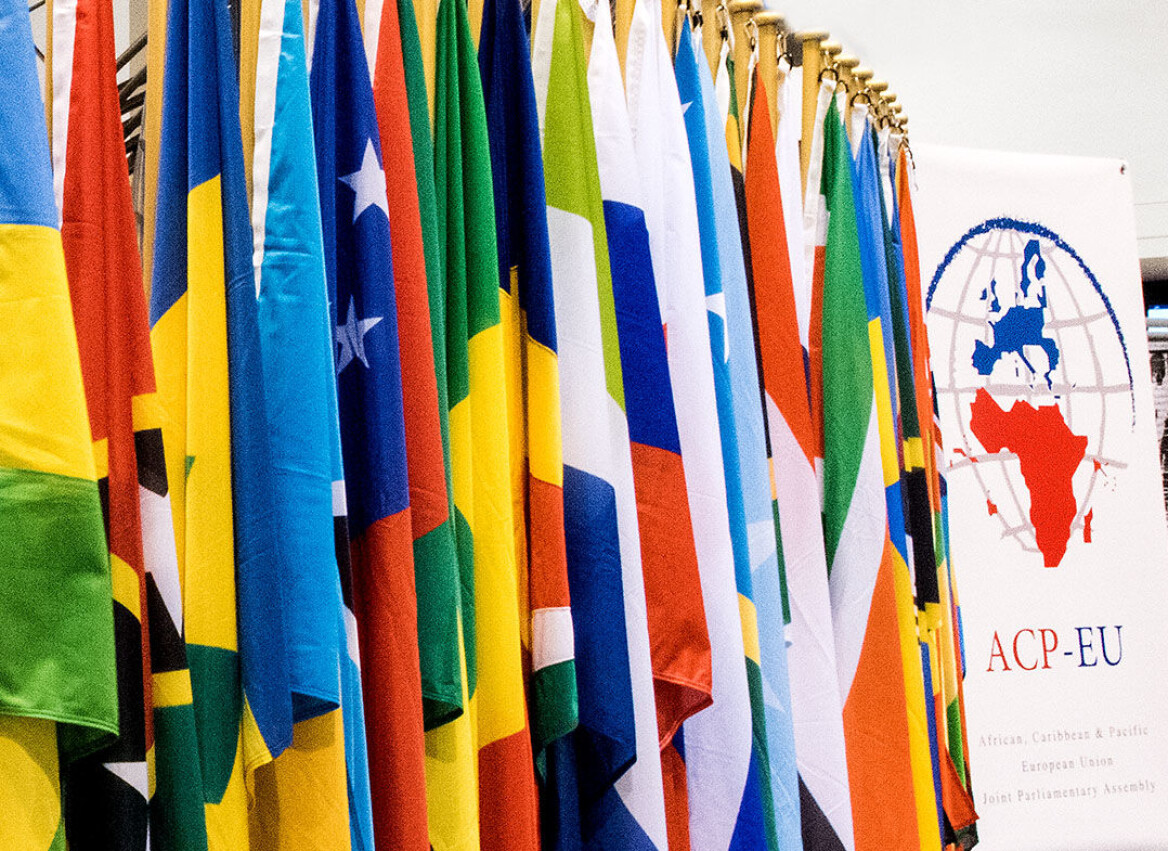(Photo: ACP-EU Joint Parliamentary Assembly. European Parliament) (Photo: ACP-EU Joint Parliamentary Assembly. European Parliament)