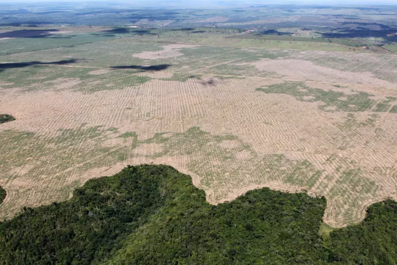 Deforestation in the Maranhão state of Brazil (Photo: Felipe Werneck - Ascom/Ibama, CC BY 2.0)