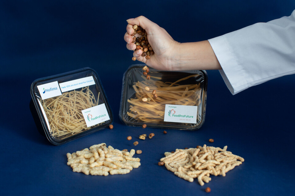 Many of the vegetarian products in grocery stores contain little protein and a lot of carbohydrates. The test products we see here are developed by Nofima and contain 50–60% protein. They are good, healthy and attractive plant-based products with high protein content. (Photo: Joe Urrutia/Nofima)