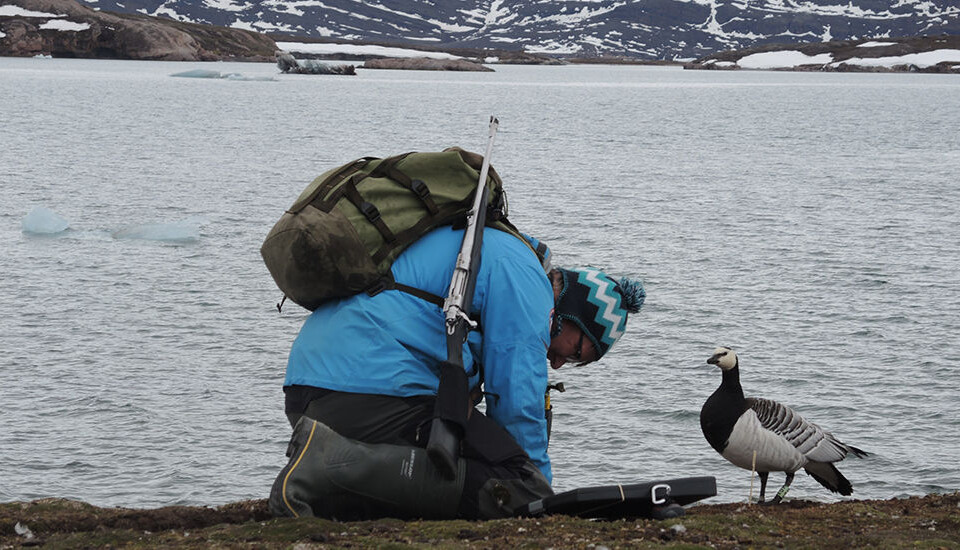 Maarten J.J.E. Loonen, a professor at the University of Groningen's Arctic Centre, checks his data while a study participant looks on. (Photo by Paul Wenzel Geissler.)