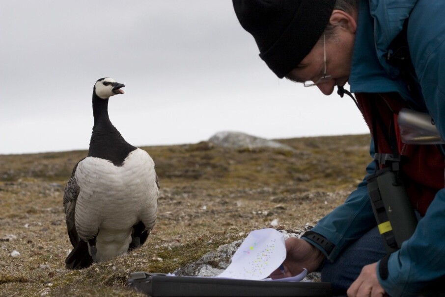 The study subject and the researcher at close quarters. (Photo: Elise Biersma)