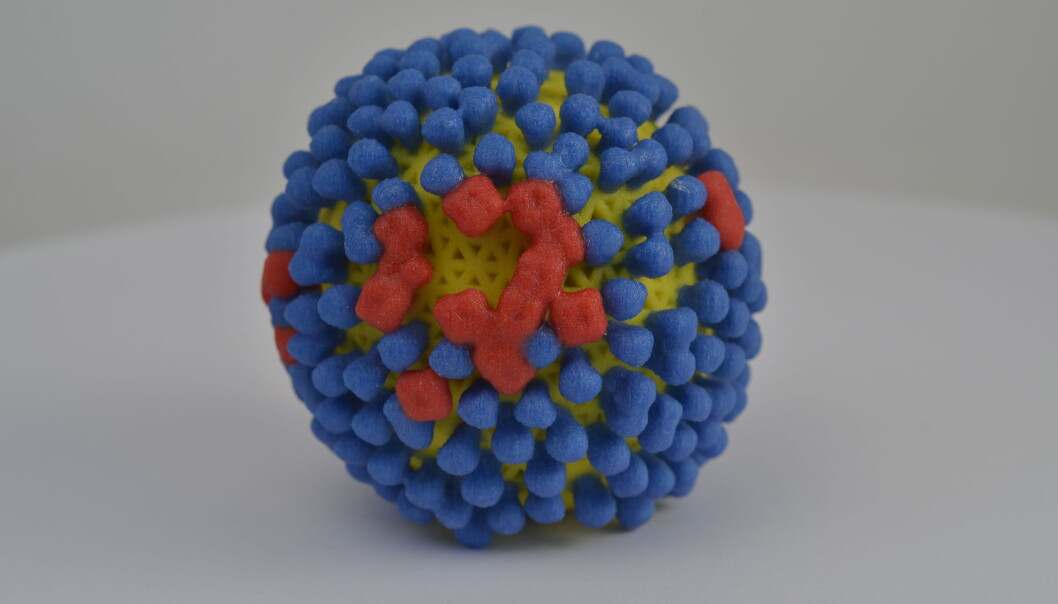The surface of the flu virus is covered in proteins called hemagglutinin (blue). If our immune system can recognize these, then our body can kill the virus before it makes us sick. Some researchers are also working on developing vaccines that enable our immune systems to recognize another protein on the surface of the flu virus, nevraminidase (red). (Photo of a 3D-printed flu virus: NIH) The surface of the flu virus is covered in proteins called hemagglutinin (blue). If our immune system can recognize these, then our body can kill the virus before it makes us sick. Some researchers are also working on developing vaccines that enable our immune systems to recognize another protein on the surface of the flu virus, nevraminidase (red). (Photo of a 3D-printed flu virus: NIH)