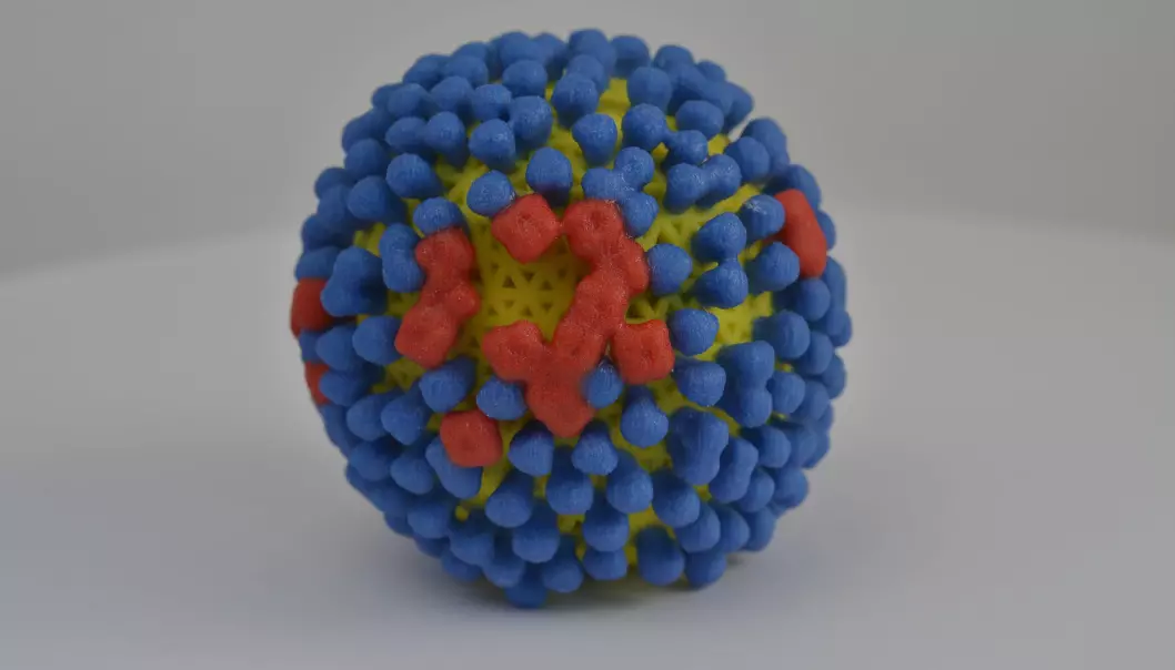 The surface of the flu virus is covered in proteins called hemagglutinin (blue). If our immune system can recognize these, then our body can kill the virus before it makes us sick. Some researchers are also working on developing vaccines that enable our immune systems to recognize another protein on the surface of the flu virus, nevraminidase (red). (Photo of a 3D-printed flu virus: NIH)