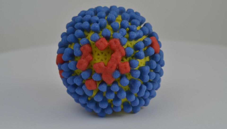 The surface of the flu virus is covered in proteins called hemagglutinin (blue). If our immune system can recognize these, then our body can kill the virus before it makes us sick. Some researchers are also working on developing vaccines that enable our immune systems to recognize another protein on the surface of the flu virus, nevraminidase (red). (Photo of a 3D-printed flu virus: NIH)